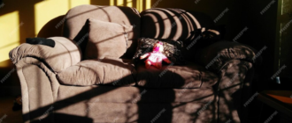 Kak udalit zapakh stariny