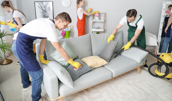 Otkuda beretsya pyl v dome 1