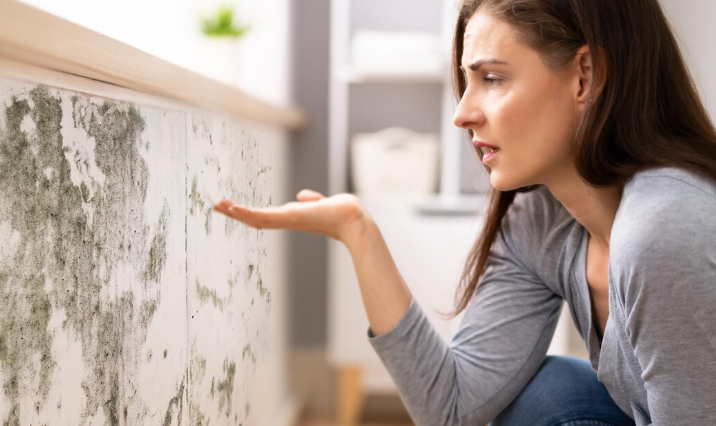 Zapakh zatkhlosti v dome 1